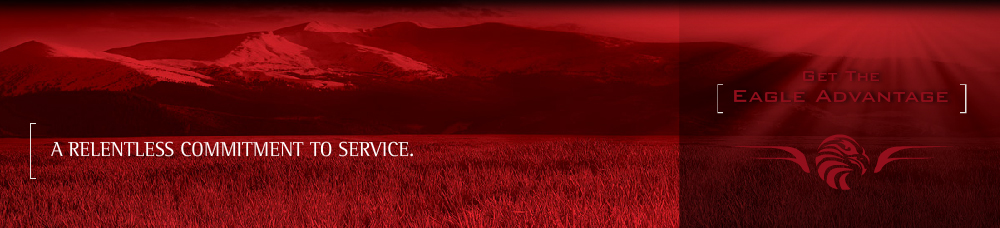 A relentless commitment to service. - Get the Eagle Advantage